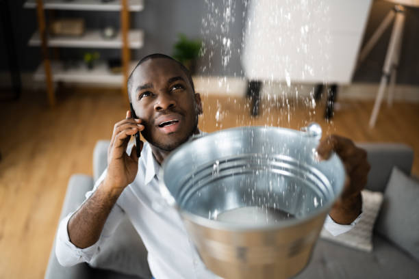 Best Water damage restoration services  in Danville, VA