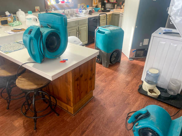 Best Water damage restoration mold remediation  in Danville, VA