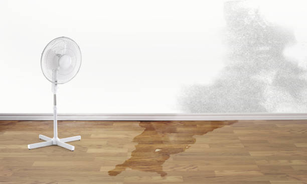 Best Carpet water damage restoration  in Danville, VA