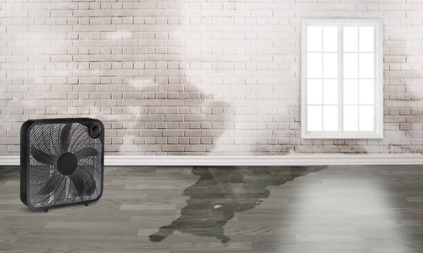Best Sewage cleanup and water damage restoration  in Danville, VA