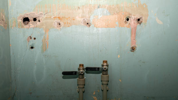 Best Emergency water extraction  in Danville, VA