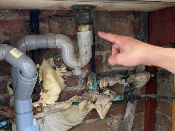 Best Fire Damage Restoration  in Danville, VA